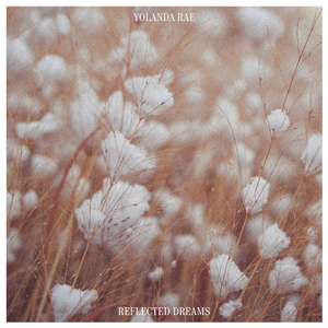 AV无码专区尤酸乳
